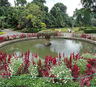 Botanischer Garten in Kandy