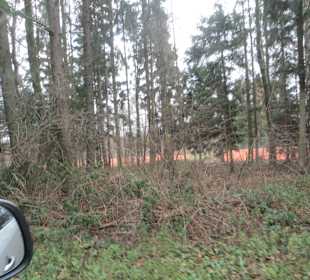 Stadtrundfahrt Grünberg