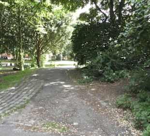 Alter Elbepark