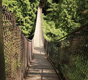 Suspension Bridge