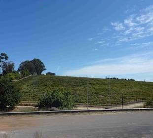 Weingebiet Stellenbosch