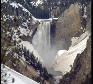 Lower Yellowstone Falls