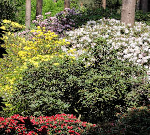 Impressionen vom Rundweg durch den Park