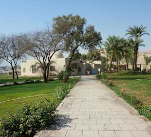 Carter´s House