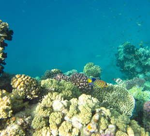 Einfach nur ein Traum