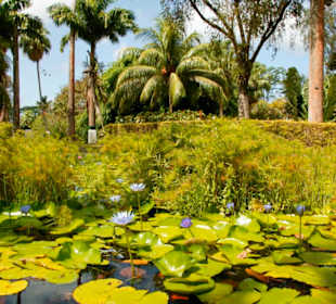 Botanischer Garten