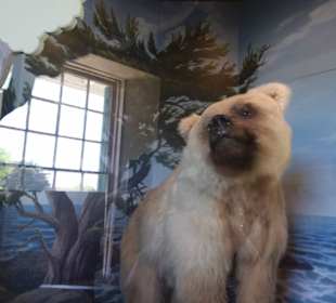 Auf den Spuren der Siedler