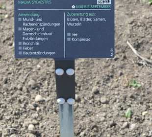 Hinweistafel zum eingepflanzten Kraut