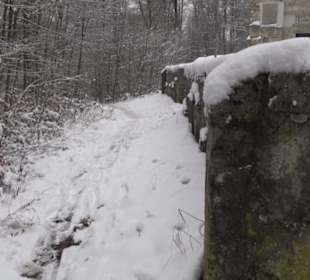Hohe Warte-Turm