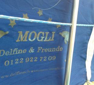 Delfinschwimmen Tour mit Bernd & Petra echt toll!