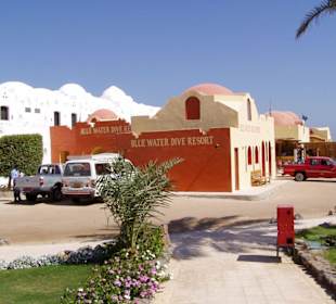 Für uns die beste Tauchbasis