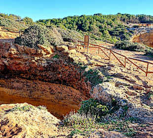 Seven Hanging Valleys Trail 