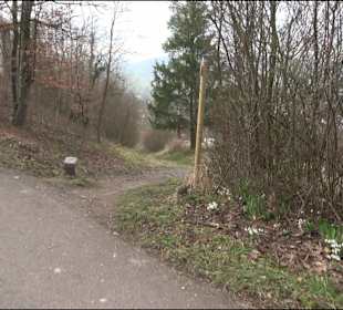 Unterjesinger Wengertwegle