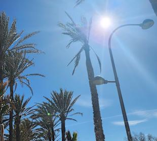 Strandpromenade Playa/Platja de Palma 