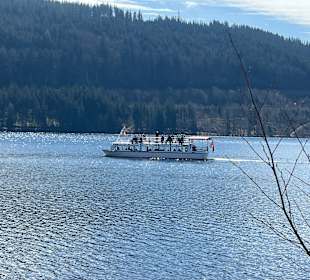 Ausblick Seehotel Wiesler