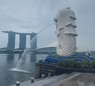 Merlion MBS