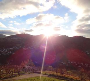 Ausblick