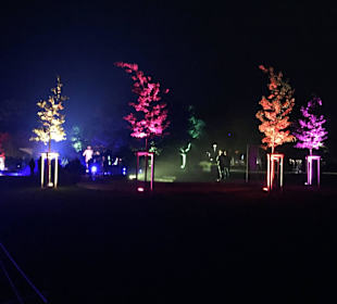 Herbstleuchten 2015