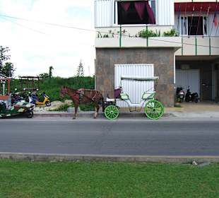 Auch eine Möglichkeit zum fortbewegen