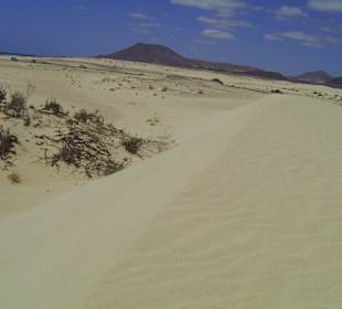 Die Dünen von Corralejo