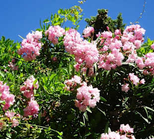 Impressionen aus Castelnou