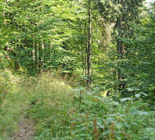 Parcul Natural Apuseni