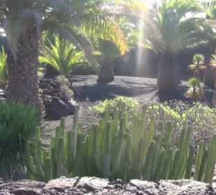 Fundacion Cesar Manrique