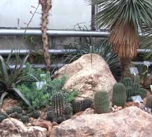 Unteres Kakteenhaus