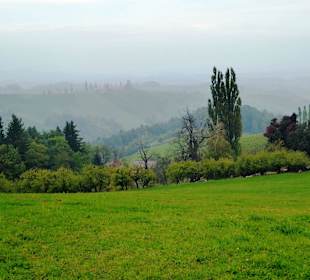 Südsteirische Weinstrasse