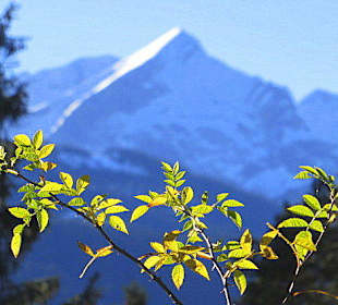 Die Alpspitze im Herbst