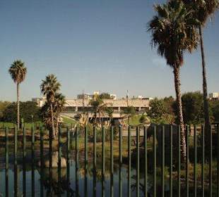 Los Angeles Teersümpfe