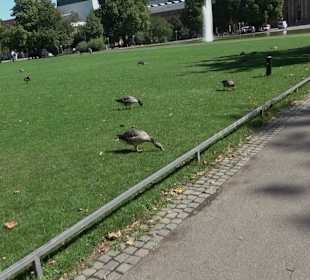 Statuen am Schlossplatz