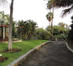 Parque Botánico de Maspalomas