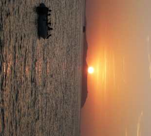 Sonnenuntergang