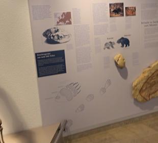 Höhlenkundliches Museum Laichingen