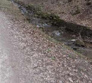 Geologischer Lehrpfad Kirnbachtal