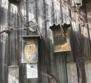 Barfußpfad Firstwald