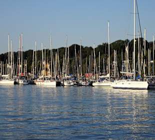 Impressionen aus dem Flensburger Hafen