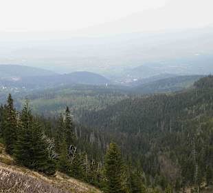 Berg Schneekoppe/Śnieżka