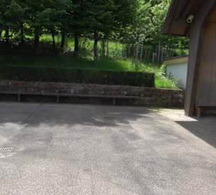 Friedhof Klosterreichenbach