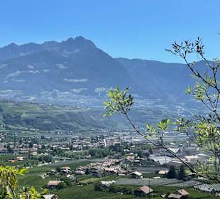 Ausblick