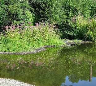 Impressionen vom Landesgartenschau-Park
