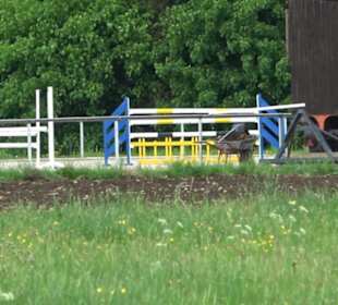 Sportanlagen Undingen