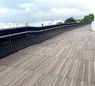 Henderson Waves Bridge 