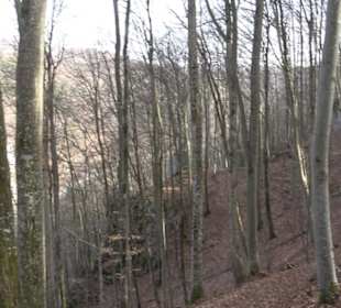 Premiumwanderweg Hohenwittlingensteig