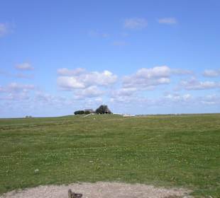 Warft auf Hallig Hooge