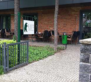 Kafe Zielony Niedźwiedź z zewnątrz