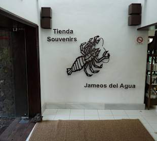  Jameos del Agua Cesar Manrique