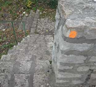 Ruine Rauber 