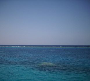 Bei der Delfintour am Riff